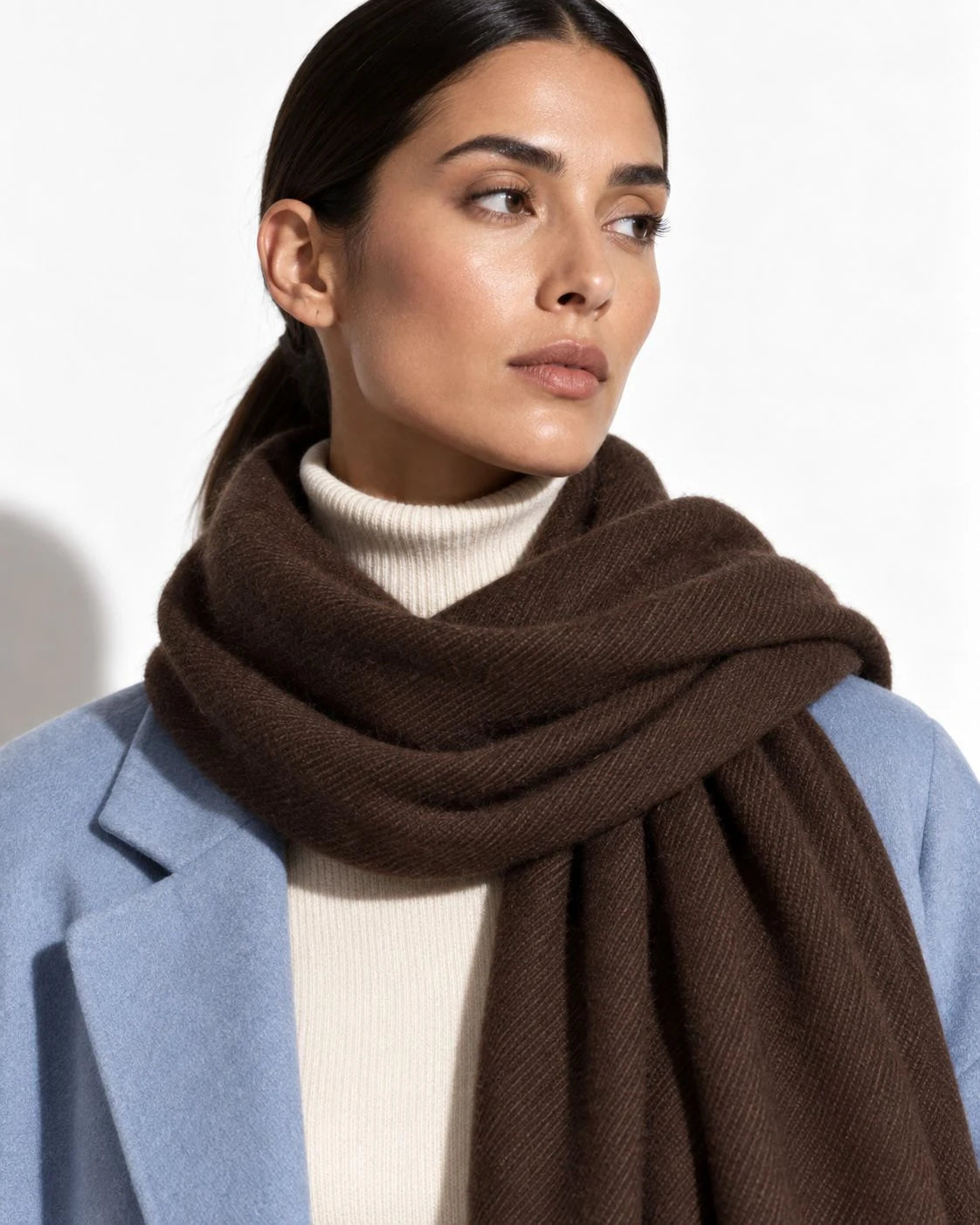 Dark Brown Pashmina Cashmere Shawl