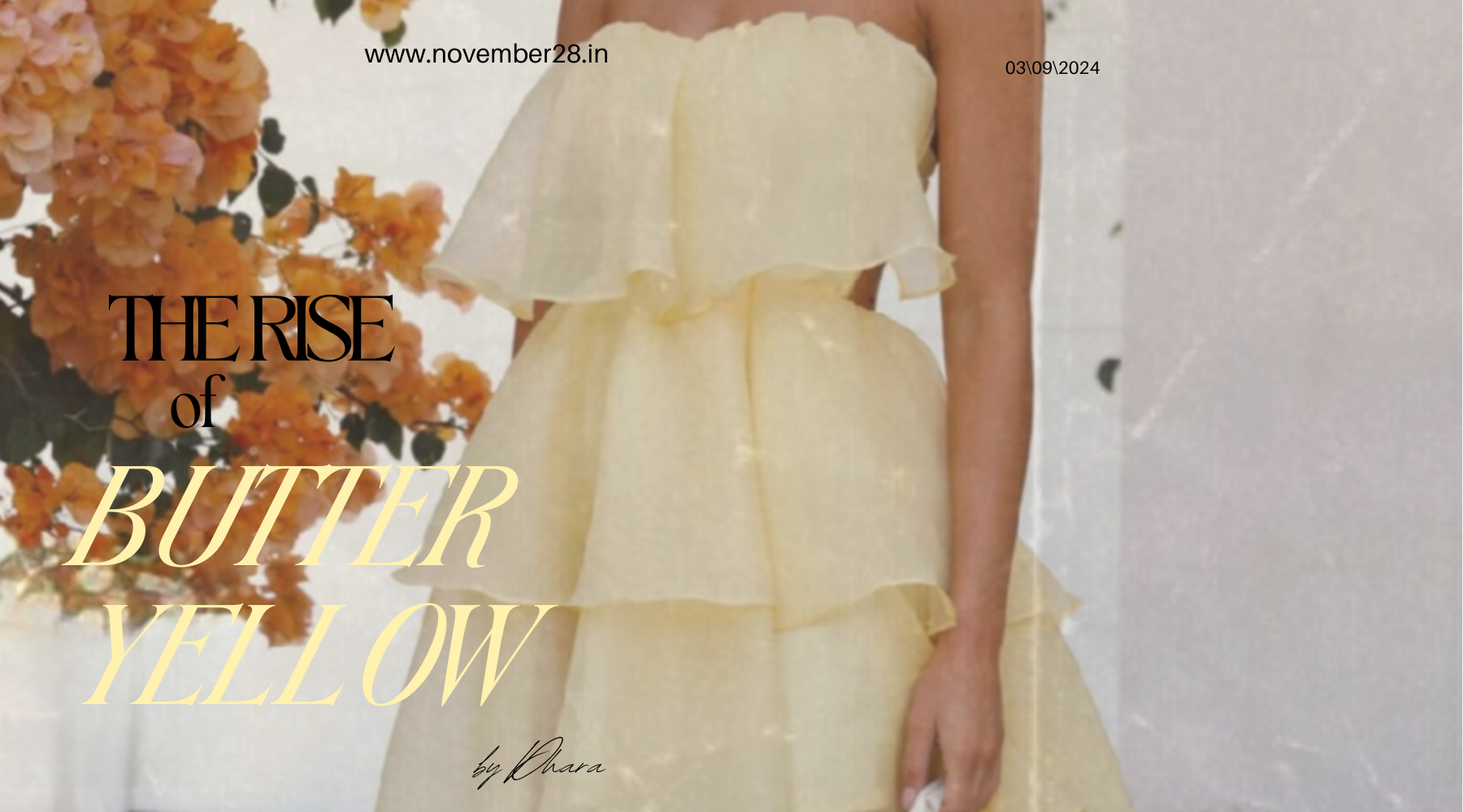 Butter Yellow Organza Dress - November 28
