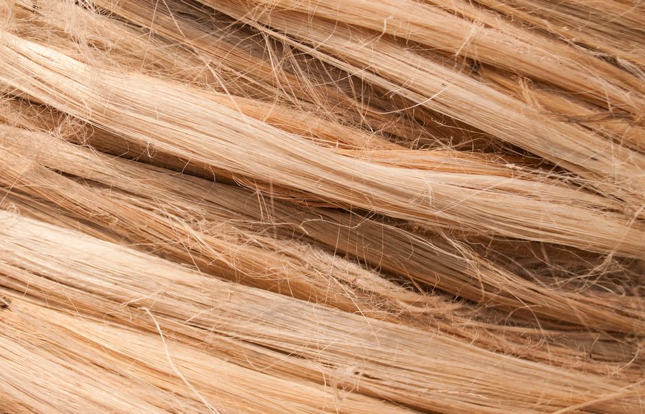 Hemp vs. Linen: The Great Natural Fabric Debate — And Why One Wins for Everyday Wear