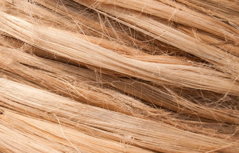 Hemp vs. Linen: The Great Natural Fabric Debate — And Why One Wins for Everyday Wear